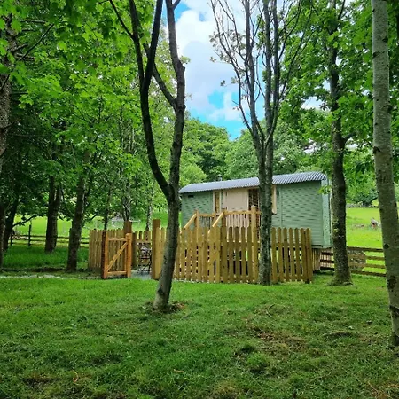 キャンプ場 Syke Farm - Yurt's And Shepherds Hut バターミア